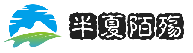 半夏陌殇